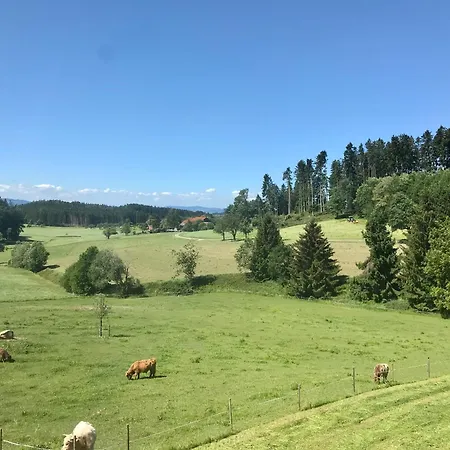 Schottenhof Walser 2 - Alleinlage Im Gruenen Mit Panoramablick شقة